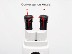 convergence angle