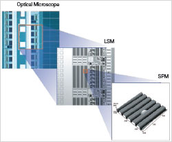Integrated design makes it possible to use a single microscope simply by switching the magnification and observation method, without having to remove and replace the sample on another microscope