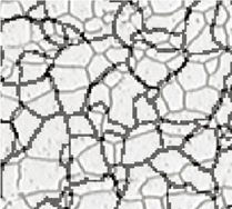 Microstructure with ferritic grains