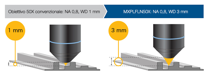 Obiettivo convenzionale con una distanza di lavoro di 1 mm / Obiettivo MXPLFN20X (NA 0,6) con una distanza di lavoro di 3 mm