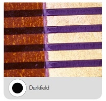 Convenzionale: il campo chiaro illumina dall'alto il campione mentre il comune campo scuro evidenzia i graffi e le imperfezioni su una superficie piana, illuminando il campione lateralmente rispetto all'obiettivo