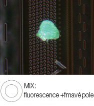 Usazenina fotorezistu na polovodičovém wafru – MIX