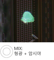 반도체 웨이퍼의 포토레지스트 잔류물 - MIX