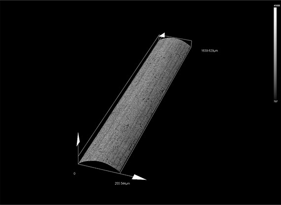 Бесшовное изображение, сформированное путем объединения семи последовательных изображений, полученных конфокальным микроскопом OLS5000.