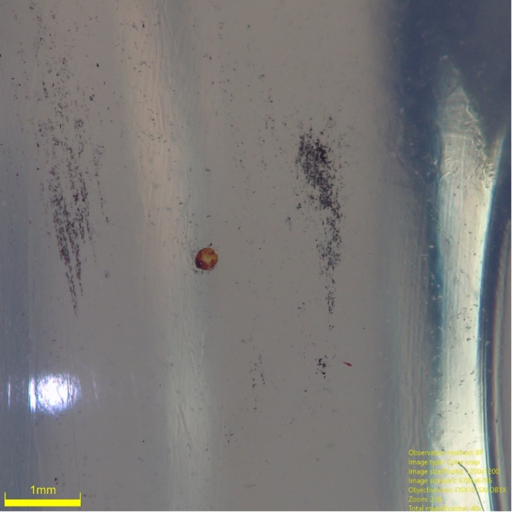 Osservazione in polarizzazione di un residuo estraneo in un biberon mediante il microscopio digitale DSX 1000